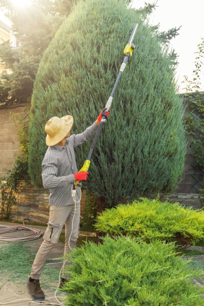 Lawn Watering Services in West Falmouth, MA